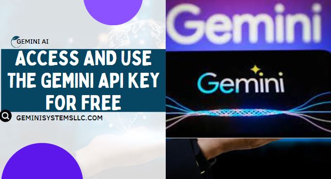 Access and Use the Gemini API Key